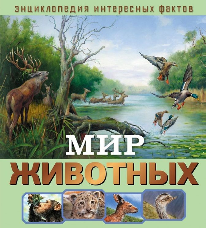 Обложка книги "Центье Хорватне: Мир животных"