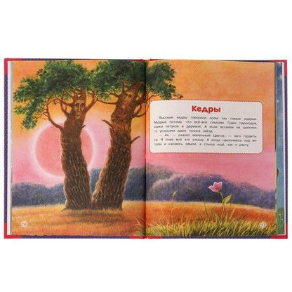 Фотография книги "Цыферов: Любимые книжки. Сказки малышам"