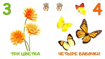Фотография книги "Цифры"
