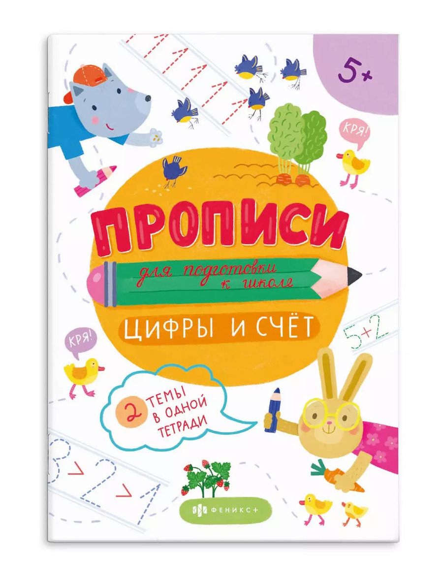 Обложка книги "Цифры и счёт"