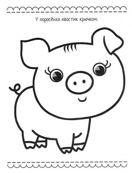 Фотография книги "Цыпленок"