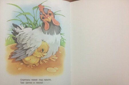 Фотография книги "Цыпленок"