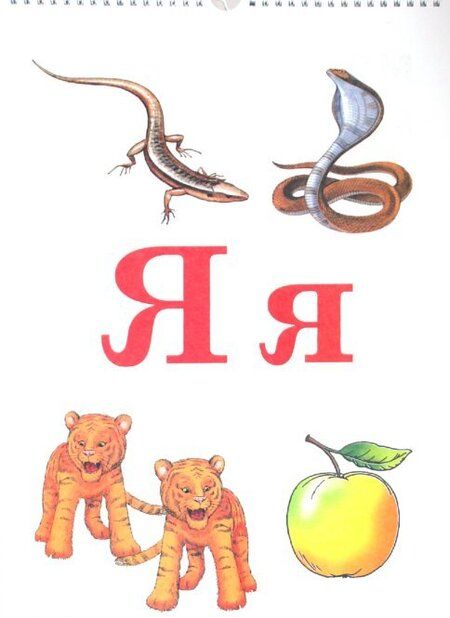 Фотография книги "Цуканова, Бетц: Формируем навыки чтения. Демонстрационные таблицы для обучения грамоте и развития техники чтения"