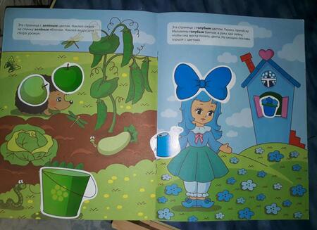 Фотография книги "Цвет"