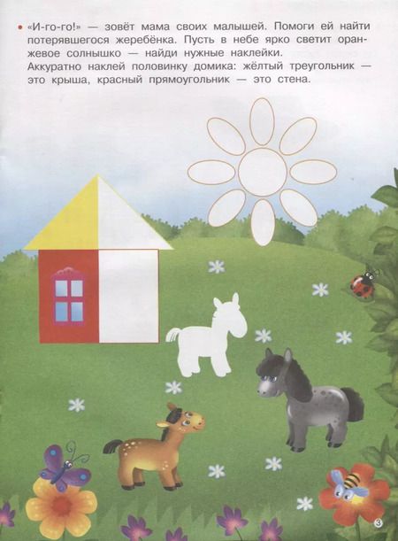 Фотография книги "Цвет и форма"