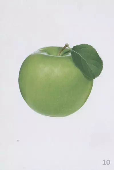 Фотография книги "Цвета. Развивающие карточки"