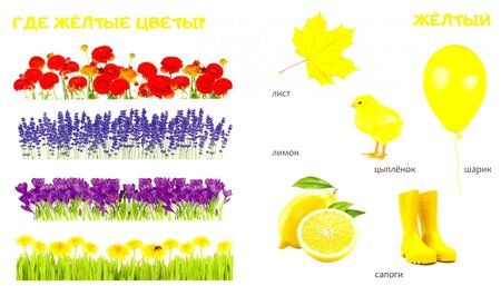 Фотография книги "Цвета"