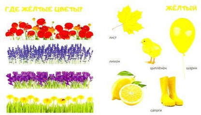 Фотография книги "Цвета"