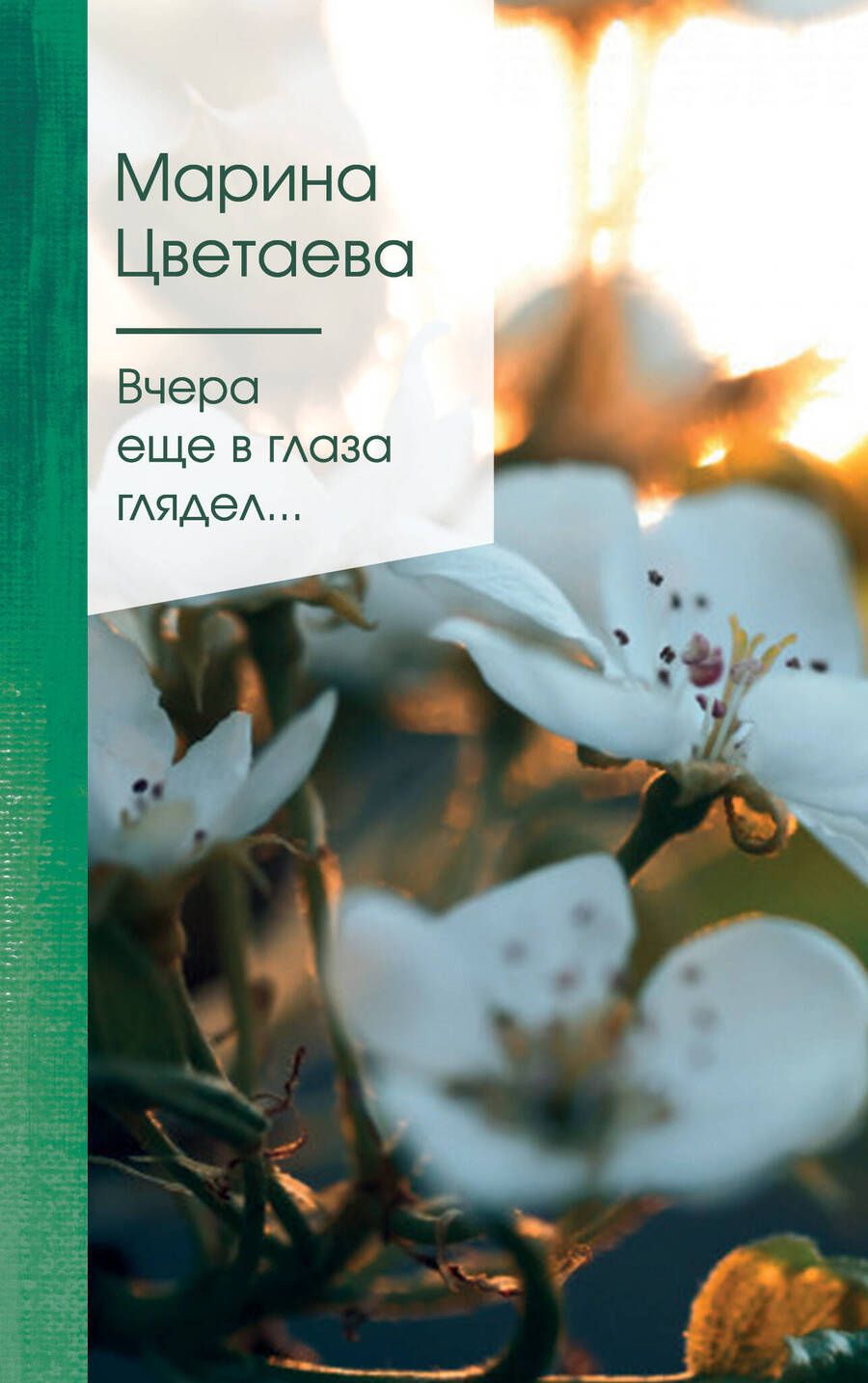 Обложка книги "Цветаева: Вчера еще в глаза глядел..."