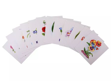 Фотография книги "Цветы. Развивающие карточки"