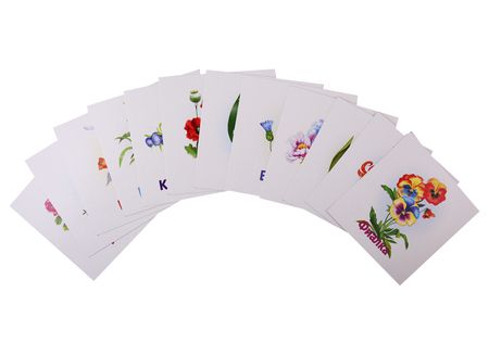 Фотография книги "Цветы. Развивающие карточки"