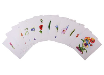 Фотография книги "Цветы. Развивающие карточки"