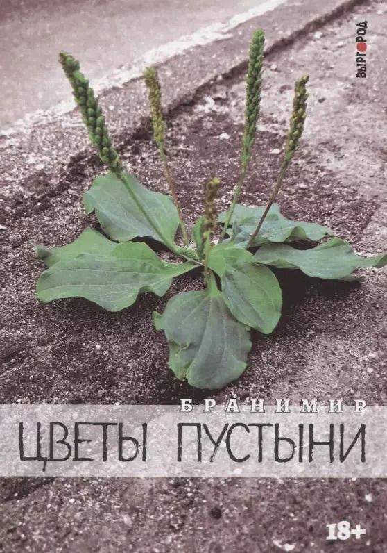 Обложка книги "Цветы пустыни"
