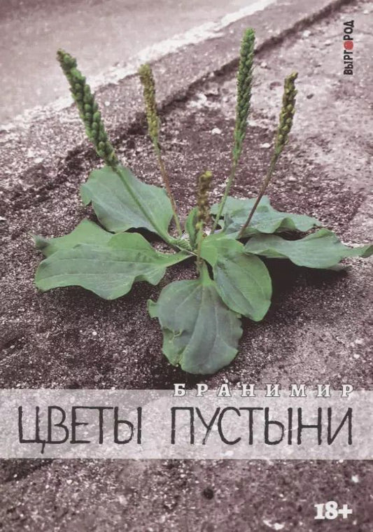 Обложка книги "Цветы пустыни"