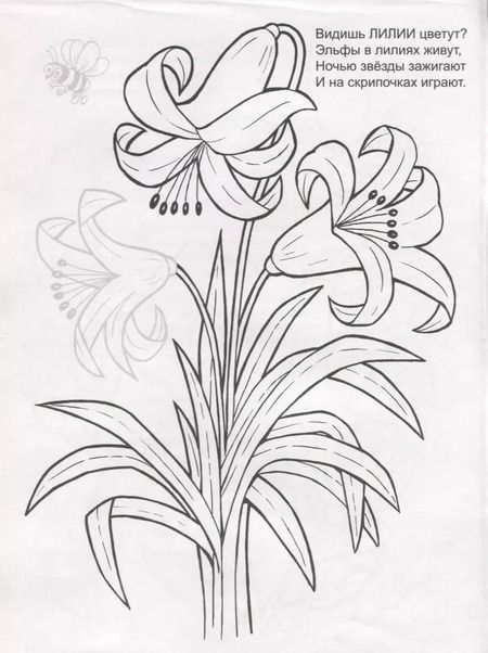 Фотография книги "Цветочное лето. Раскраска с наклейками"