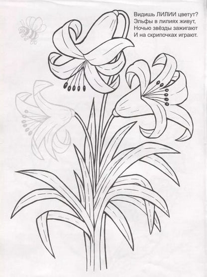 Фотография книги "Цветочное лето. Раскраска с наклейками"