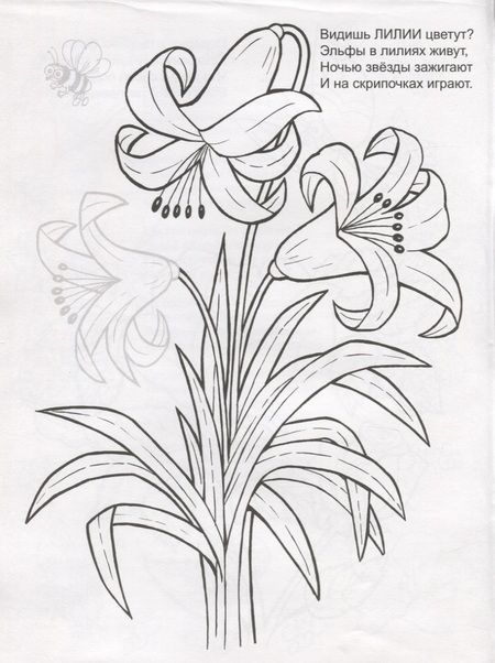 Фотография книги "Цветочное лето. Раскраска с наклейками"