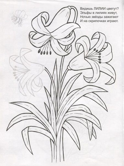 Фотография книги "Цветочное лето. Раскраска с наклейками"