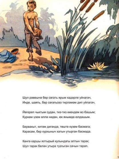 Фотография книги "Тукай: Су анасы"