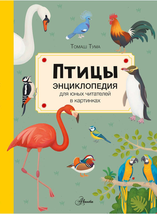 Обложка книги "Тума: Птицы"