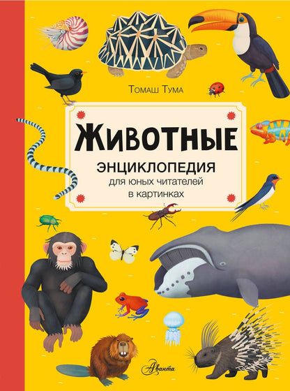 Обложка книги "Тума: Животные"