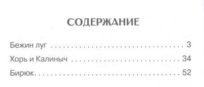 Фотография книги "Тургенев: Бежин луг. Рассказы"