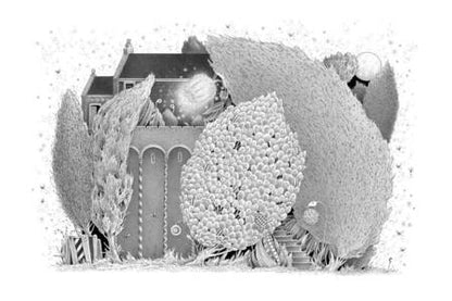 Фотография книги "Турковски: Лунный цветок"