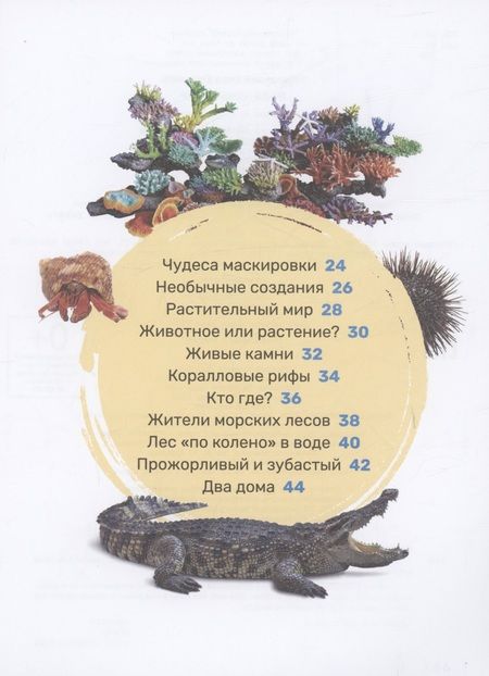 Фотография книги "Тяжелкова Кира: Подводный мир. Первая энциклопедия малыша"