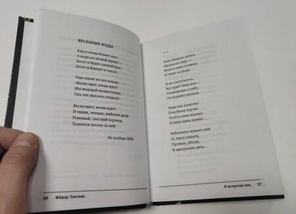 Фотография книги "Тютчев: Я встретил вас"