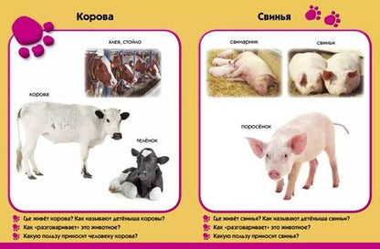 Фотография книги "У бабушки в деревне. Развиваем малыша (2-3 года)"