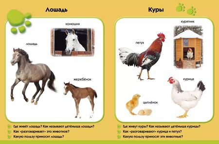 Фотография книги "У бабушки в деревне. Развиваем малыша (2-3 года)"