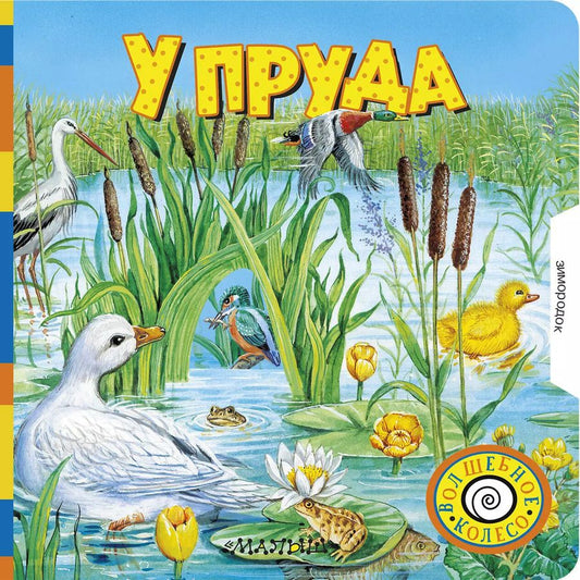 Обложка книги "У пруда"