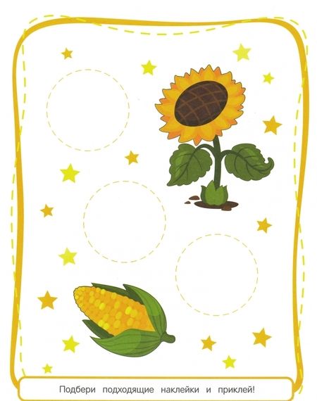 Фотография книги "Учу цвета 1+. Книжка с наклейками"