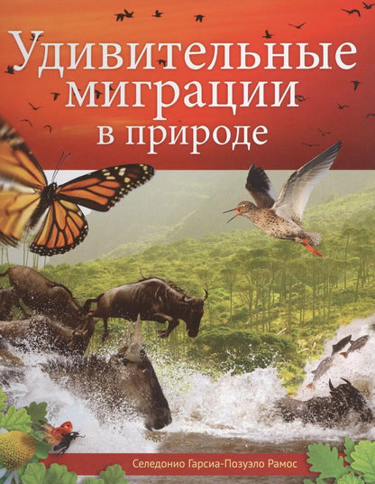 Обложка книги "Удивительные миграции в природе"