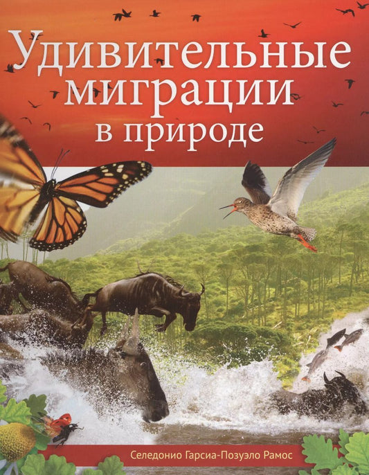 Обложка книги "Удивительные миграции в природе"