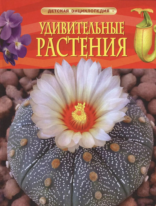 Обложка книги "Удивительные растения"