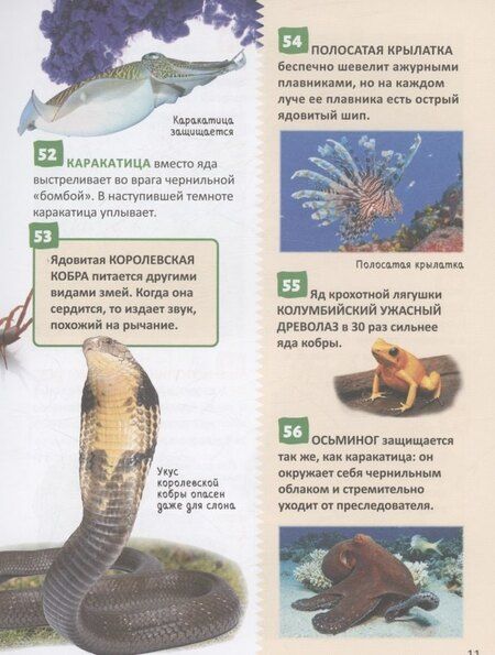 Фотография книги "Удивительные животные. 250 фактов. Энциклопедия российского школьника"