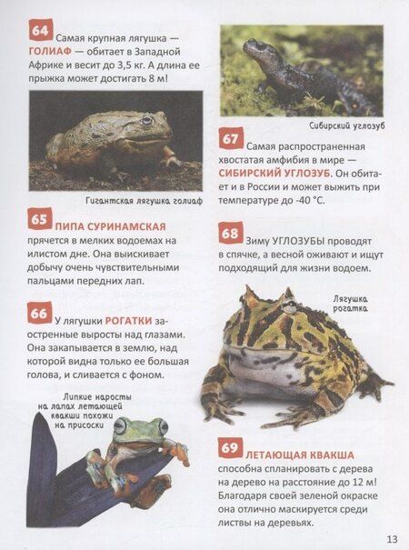 Фотография книги "Удивительные животные. 250 фактов. Энциклопедия российского школьника"