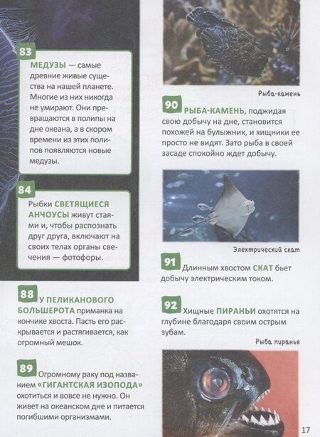 Фотография книги "Удивительные животные. 250 фактов. Энциклопедия российского школьника"
