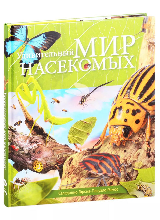 Обложка книги "Удивительный мир насекомых"