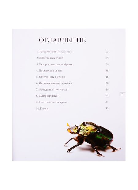 Фотография книги "Удивительный мир насекомых"