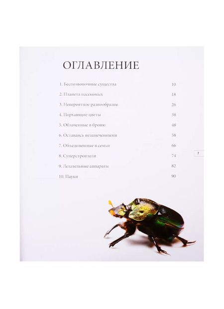 Фотография книги "Удивительный мир насекомых"