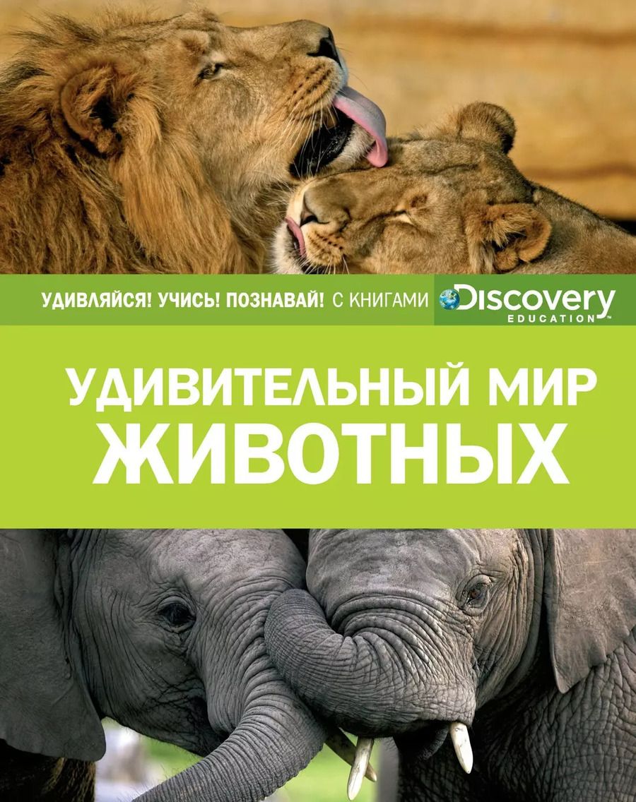 Обложка книги "Удивительный мир животных"