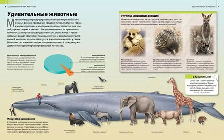 Фотография книги "Удивительный мир животных"