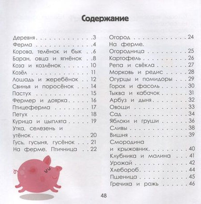 Фотография книги "Ульева: Деревня. Энциклопедия для малышей в картинках"