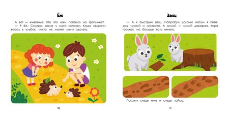 Фотография книги "Ульева: Лес. Энциклопедия для малышей в картинках"