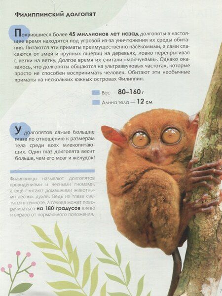 Фотография книги "Ульяна Юрьевна: Детская энциклопедия. Красная книга"