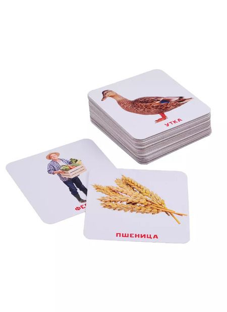 Фотография книги "Умный Чемоданчик. На Ферме. 35 двусторонних карточек"