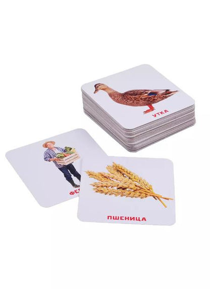 Фотография книги "Умный Чемоданчик. На Ферме. 35 двусторонних карточек"