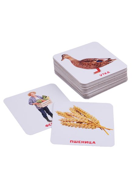 Фотография книги "Умный Чемоданчик. На Ферме. 35 двусторонних карточек"